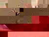 .jpg