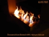 Биокамины ТМ Gloss Fire (0-003.jpg) Биокамины ТМ Gloss Fire (0-003.jpg)