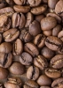 Кофе свежей обжарки и листовой чай (full_coffee-vzernax-arabica-bresil-yellow-burbon.jpg) Кофе свежей обжарки и листовой чай (full_coffee-vzernax-arabica-bresil-yellow-burbon.jpg)